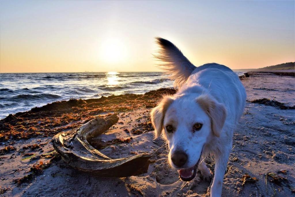 Haus Am Strand Breege Luaran gambar